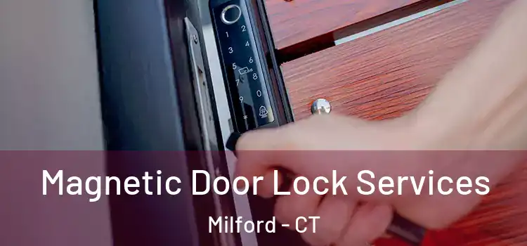 Magnetic Door Lock Services Milford - CT